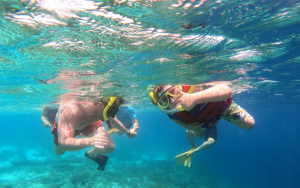 Apa Saja yang Bisa Sobat Jumpai Saat Snorkeling in Gili T?