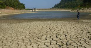 Sederet Dampak Perubahan Iklim terhadap Kehidupan Sehari-hari