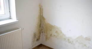 Dampak Buruk Kamar yang Lembap bagi Kesehatan dan Kenyamanan